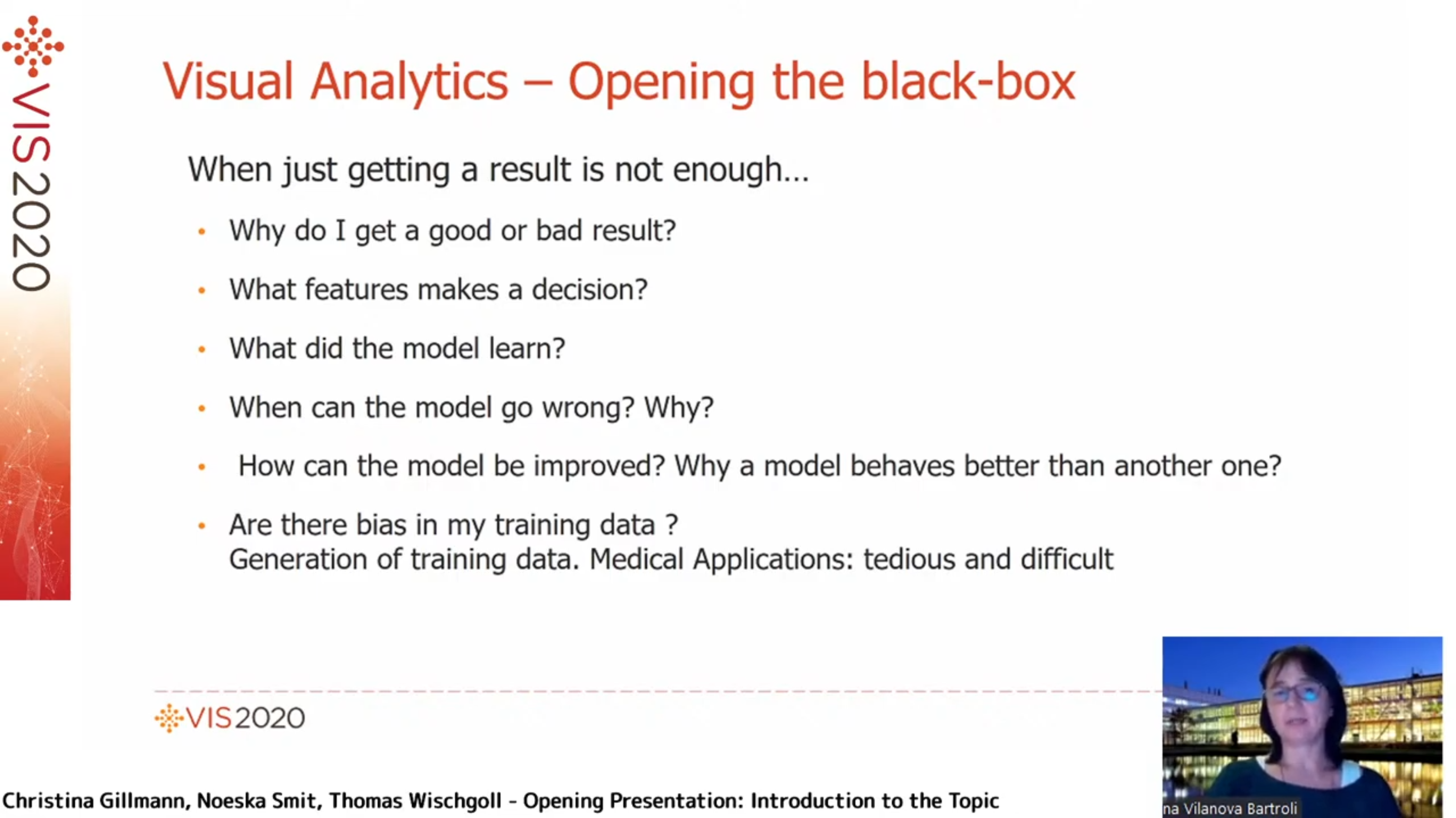 Visual Analytics - Opening the Black Box