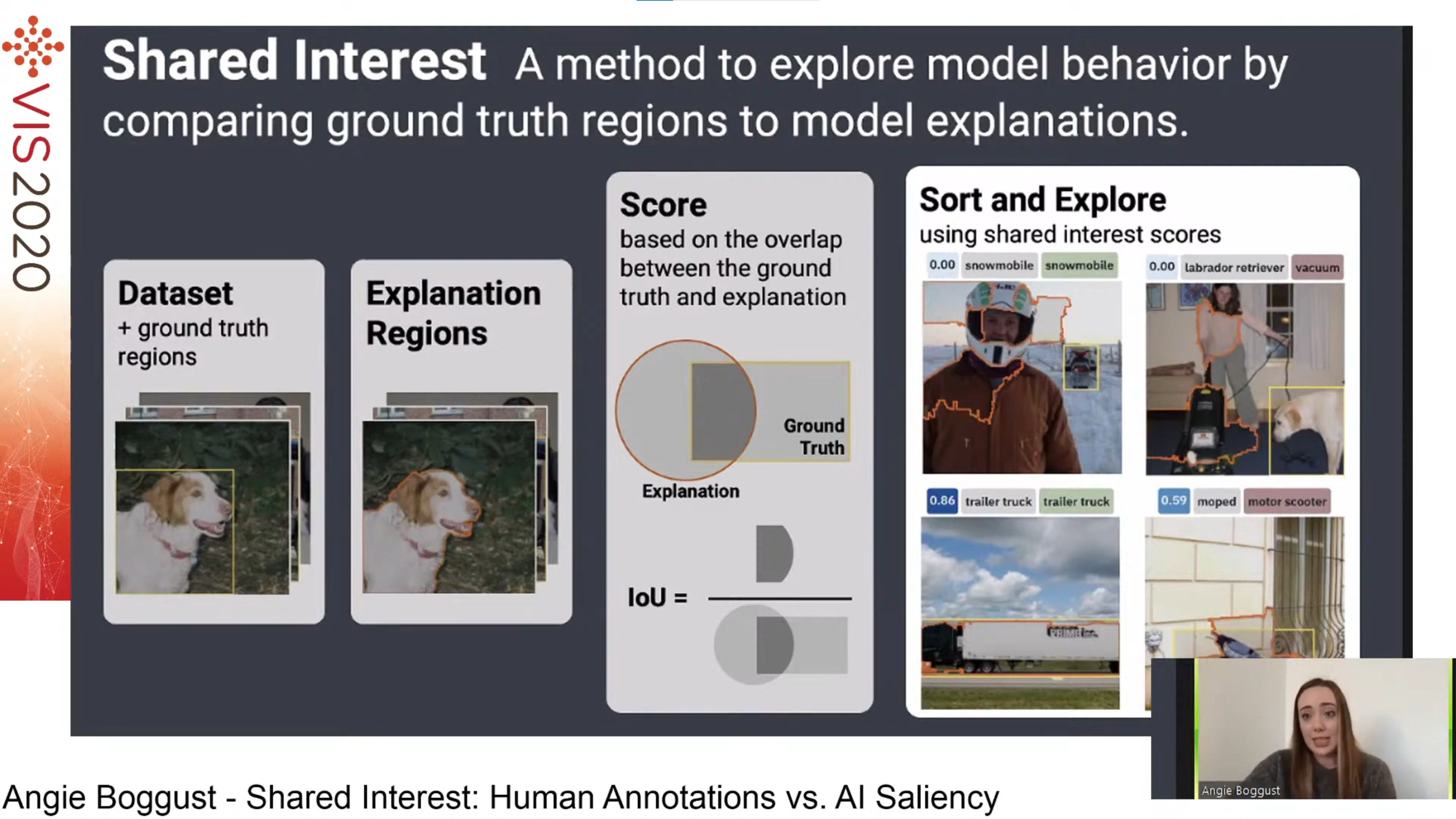 Overview of the Shared Interest system