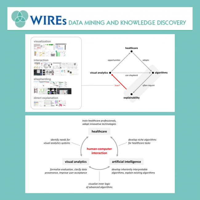 Diagram of how visual analytics can explain AI in healthcare
